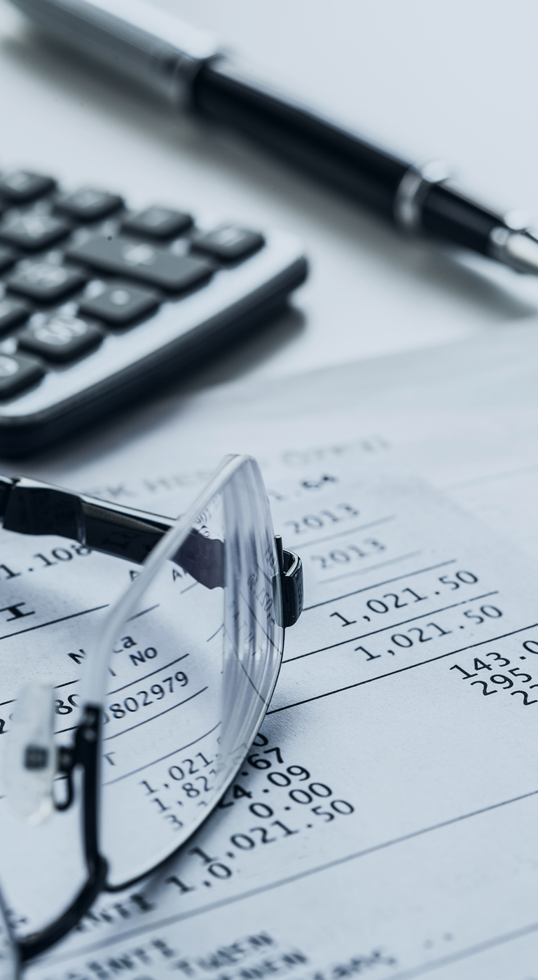Servicios de Asesoría Fiscal y Contable